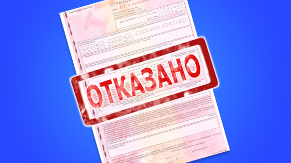 ОСАГО и сбитое животное в поездке: как всё работает?